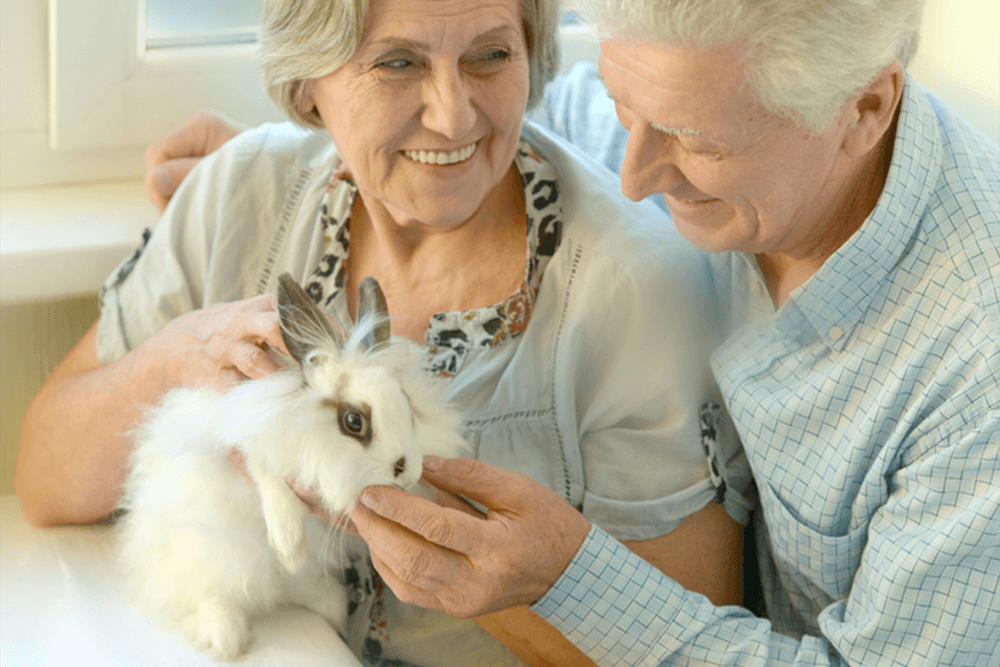 couple with pet rabbit